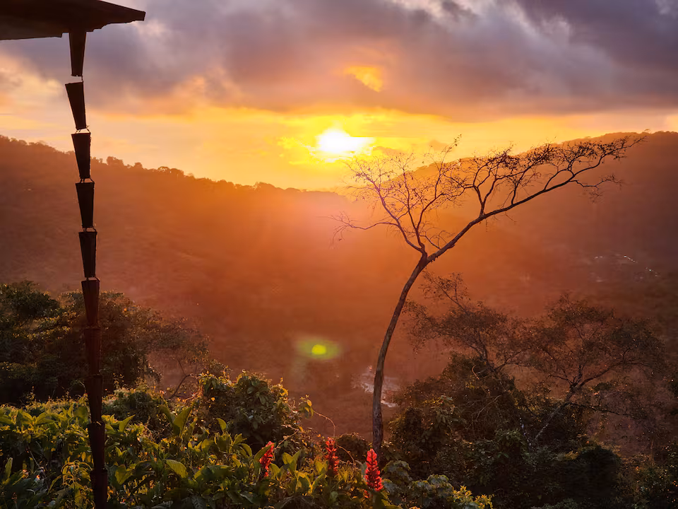 Lovely Ocean view from the Cloud Forest