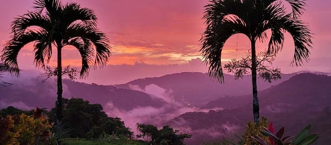 Lovely Ocean view from the Cloud Forest