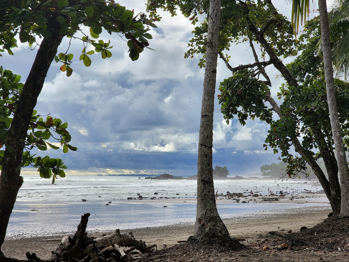 Lovely Ocean view from the Cloud Forest