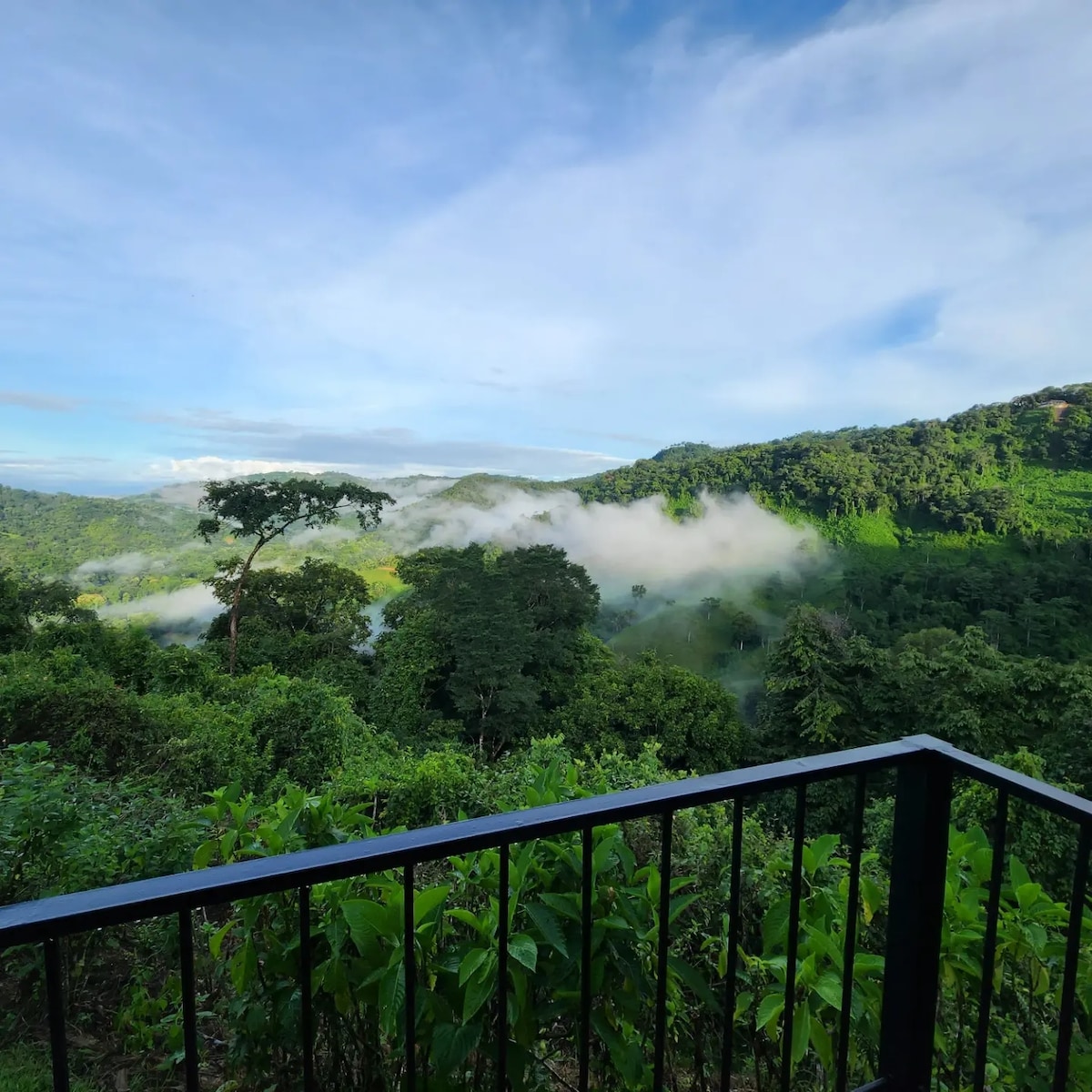 Restorative jungle respite with ocean views