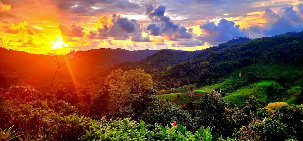 Restorative jungle respite with ocean views