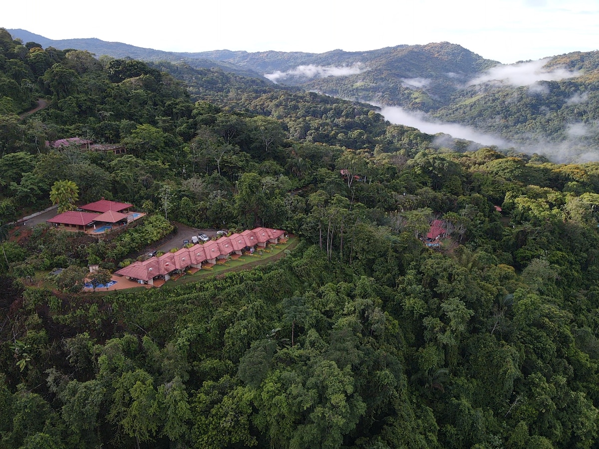 Restorative jungle respite with ocean views