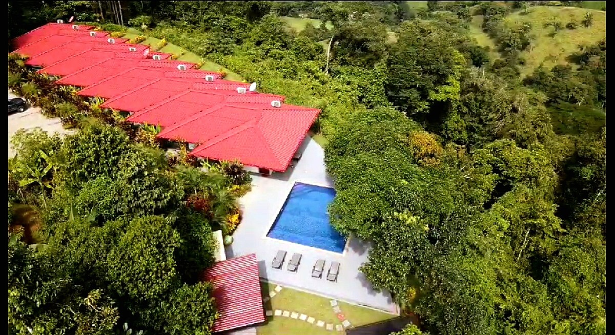 Lovely oasis overlooking the Jungle and sea