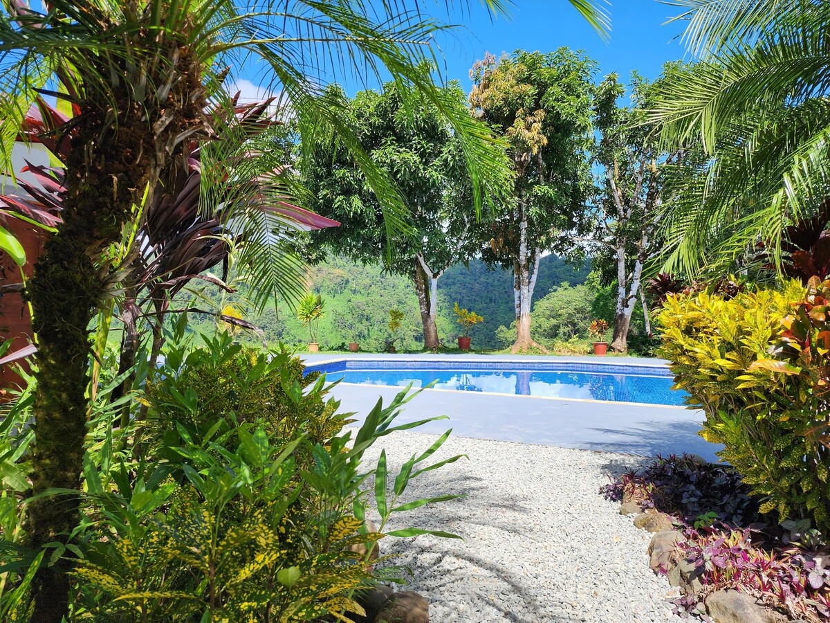 Lovely ocean view in the colorful cloud forest