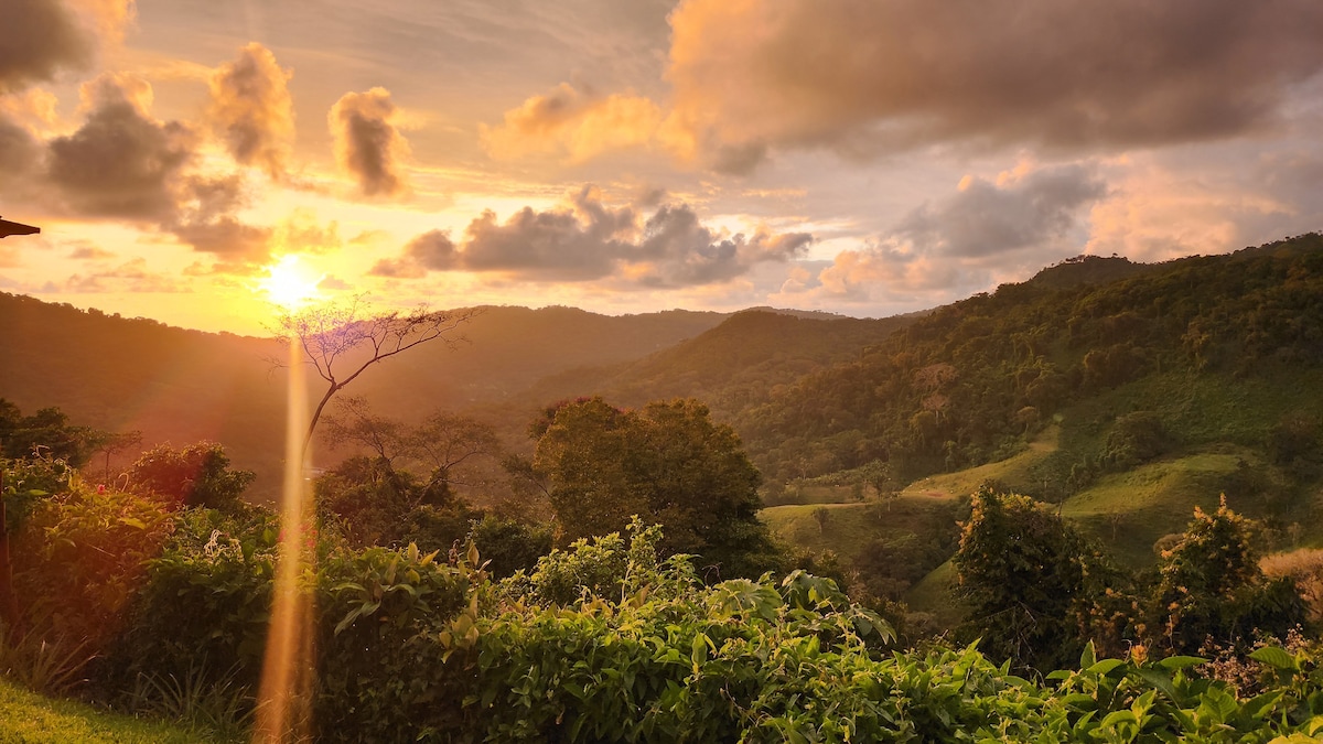 Lovely ocean view in the colorful cloud forest