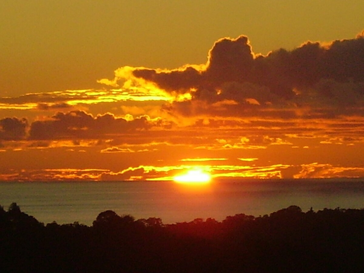 Lovely ocean view in the colorful cloud forest