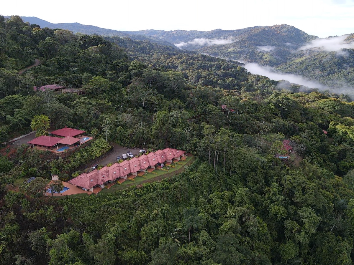 Lovely ocean view in the colorful cloud forest