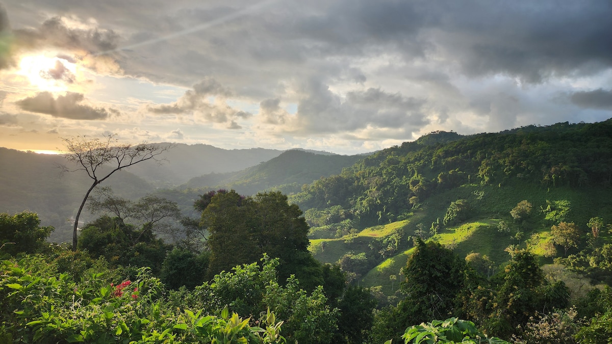 Lovely ocean view in the colorful cloud forest