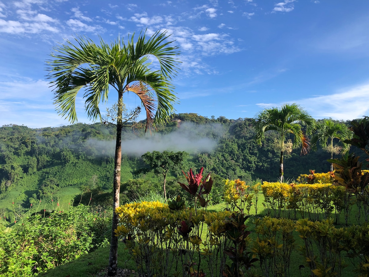 lovely Jungle Stay with Ocean View