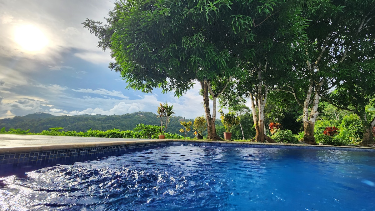 lovely Jungle Stay with Ocean View