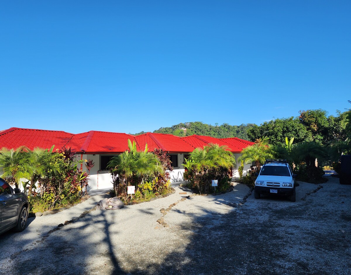 lovely Jungle Stay with Ocean View