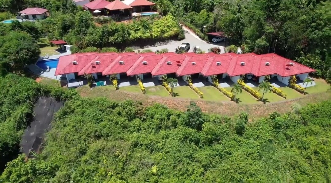 lovely Jungle Stay with Ocean View