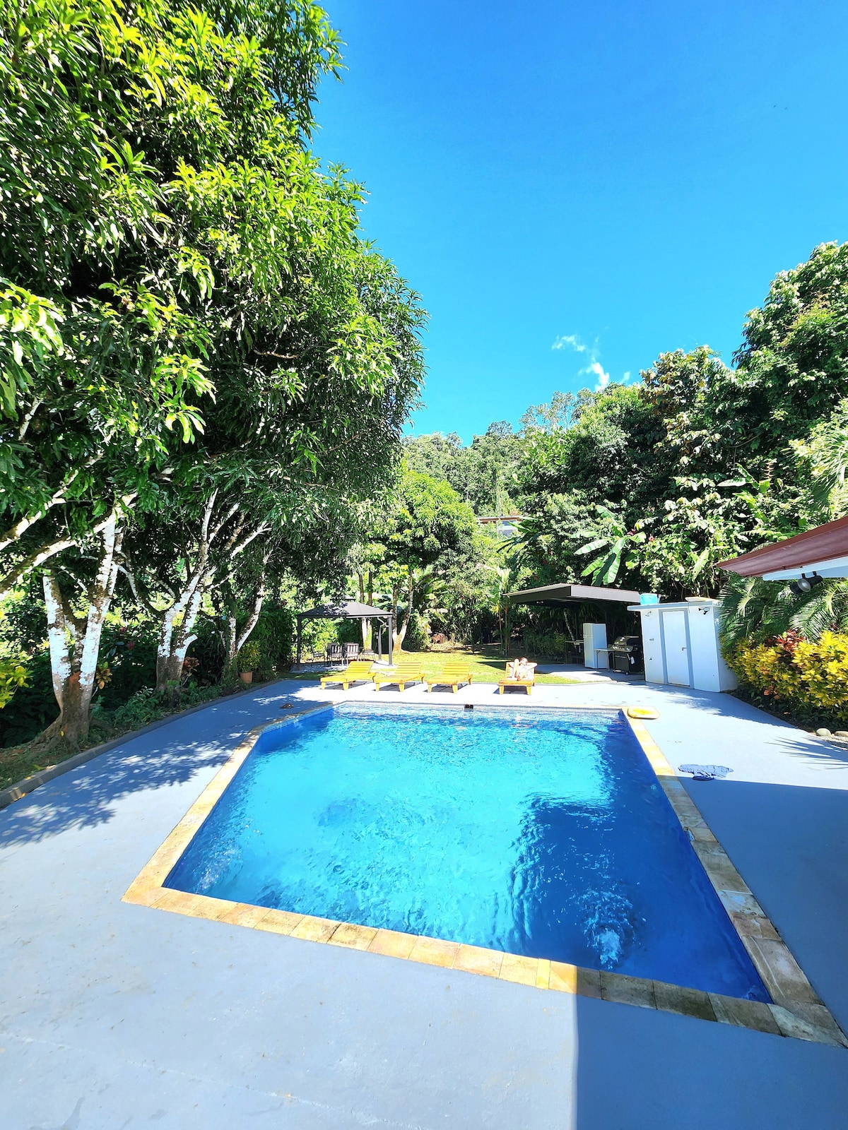 lovely Jungle Stay with Ocean View