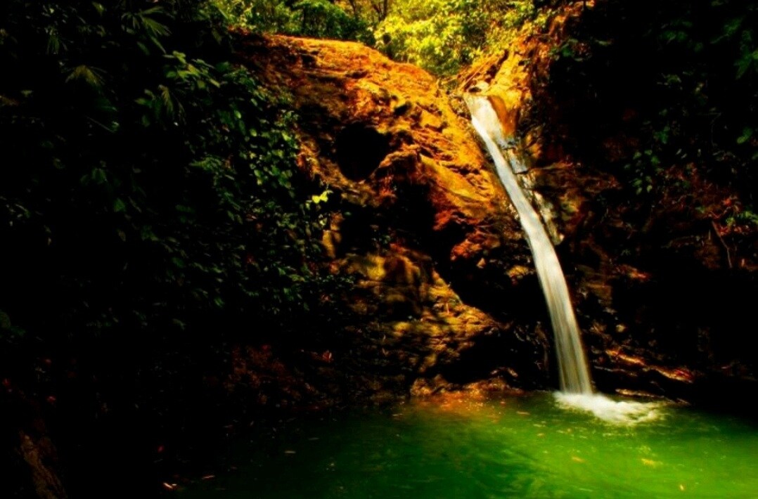 lovely Jungle Stay with Ocean View