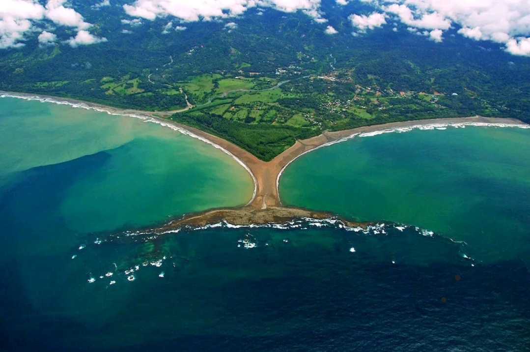lovely Jungle Stay with Ocean View