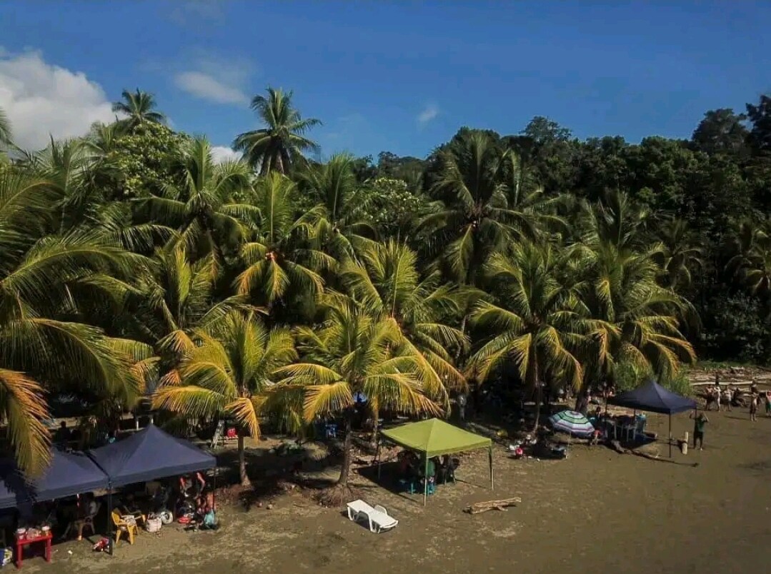 lovely Jungle Stay with Ocean View