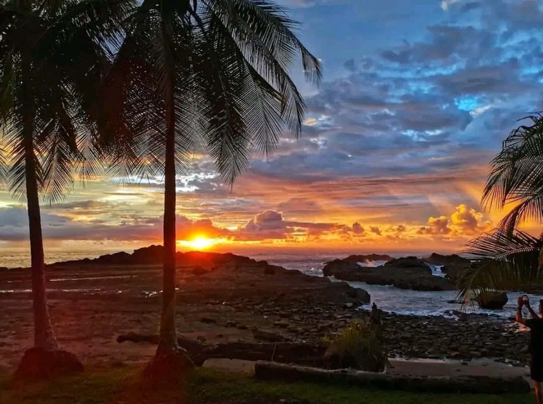 lovely Jungle Stay with Ocean View