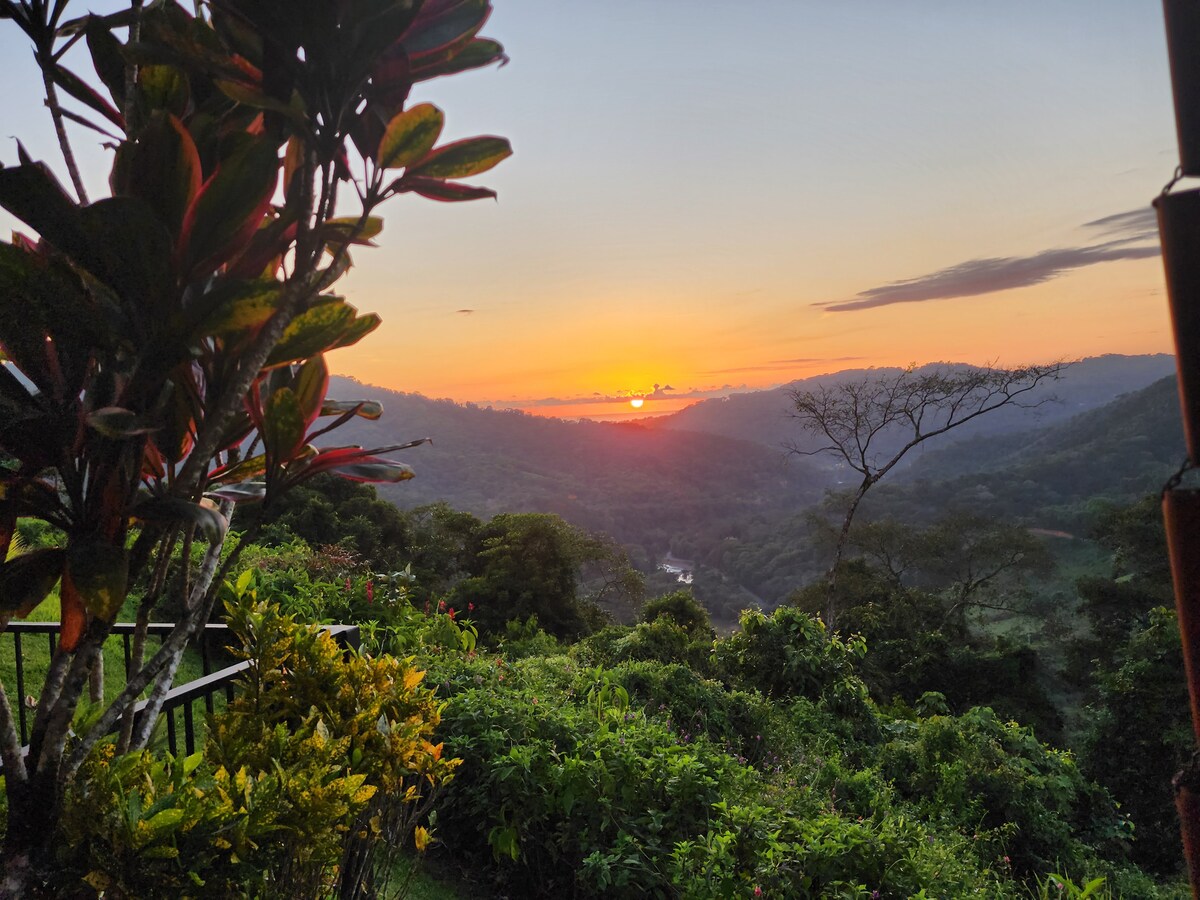 lovely Jungle Stay with Ocean View