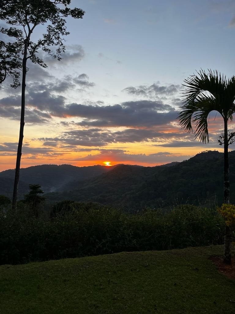 lovely Jungle Stay with Ocean View