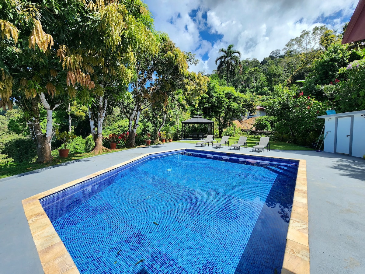 Lovely Ocean view in the Cloud forest jungle