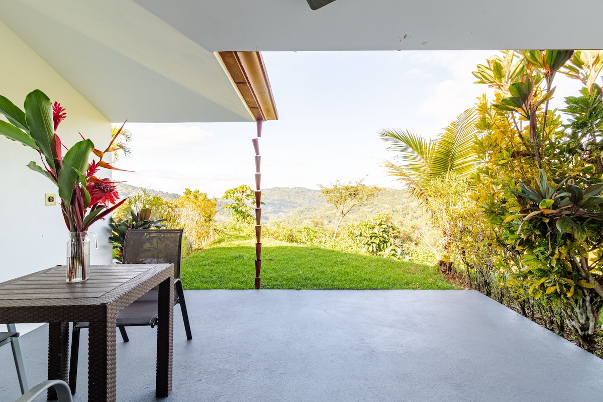 Lovely Ocean view in the Cloud forest jungle