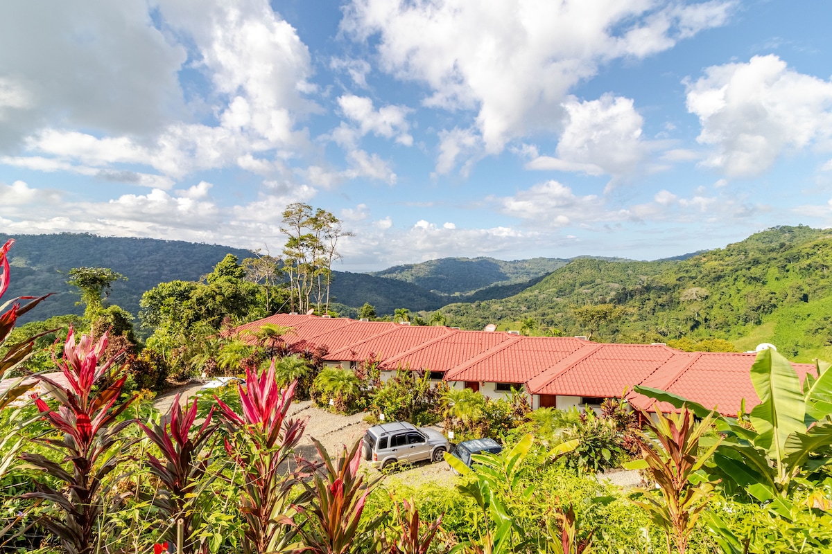 Lovely Ocean view in the Cloud forest jungle