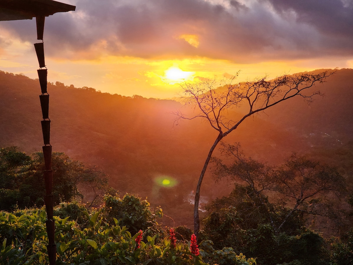 Lovely Ocean view in the Cloud forest jungle