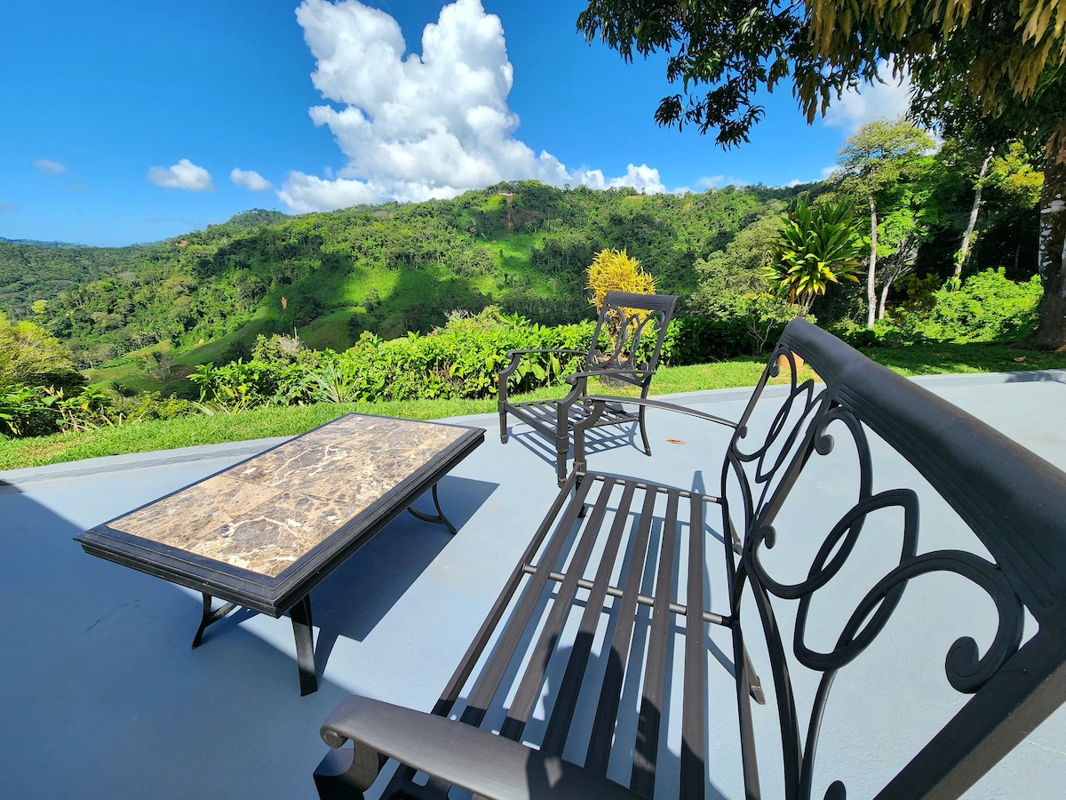 Lovely Ocean view in the Cloud forest jungle