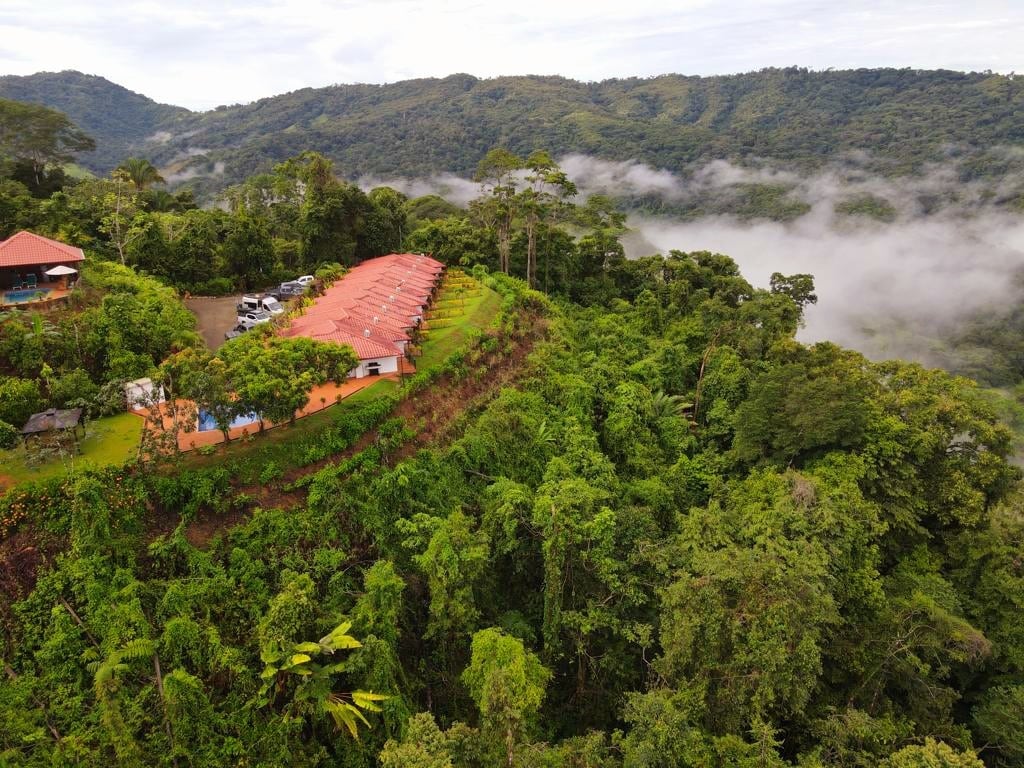 Lovely Jungle Sanctuary W/Ocean View