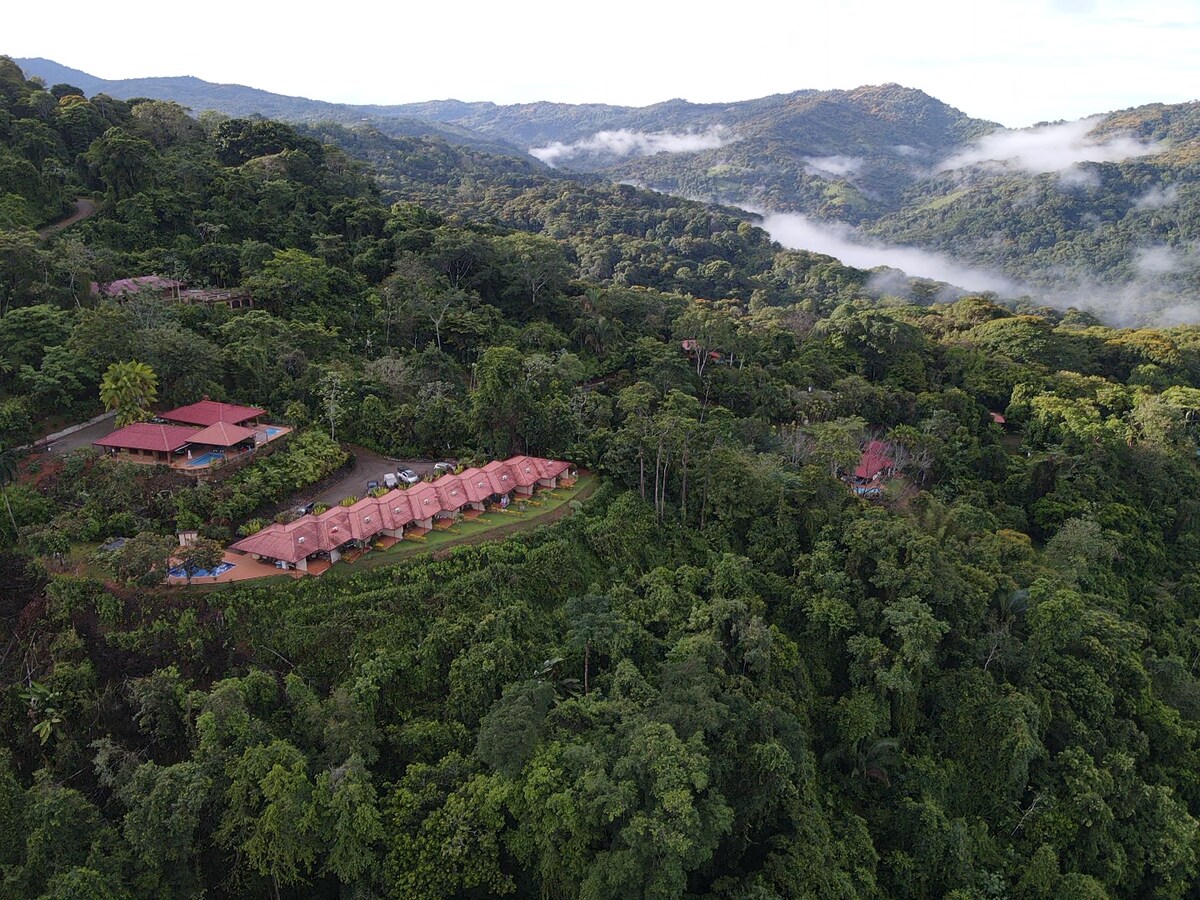 Lovely Jungle Sanctuary W/Ocean View