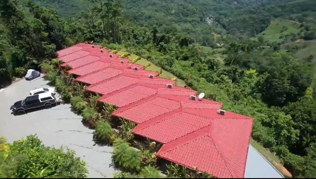 Lovely Rain forest/ocean view in the cloud forest