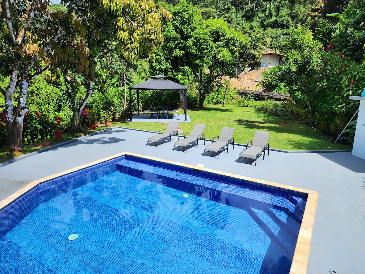 Lovely Jungle Oasis with Ocean views
