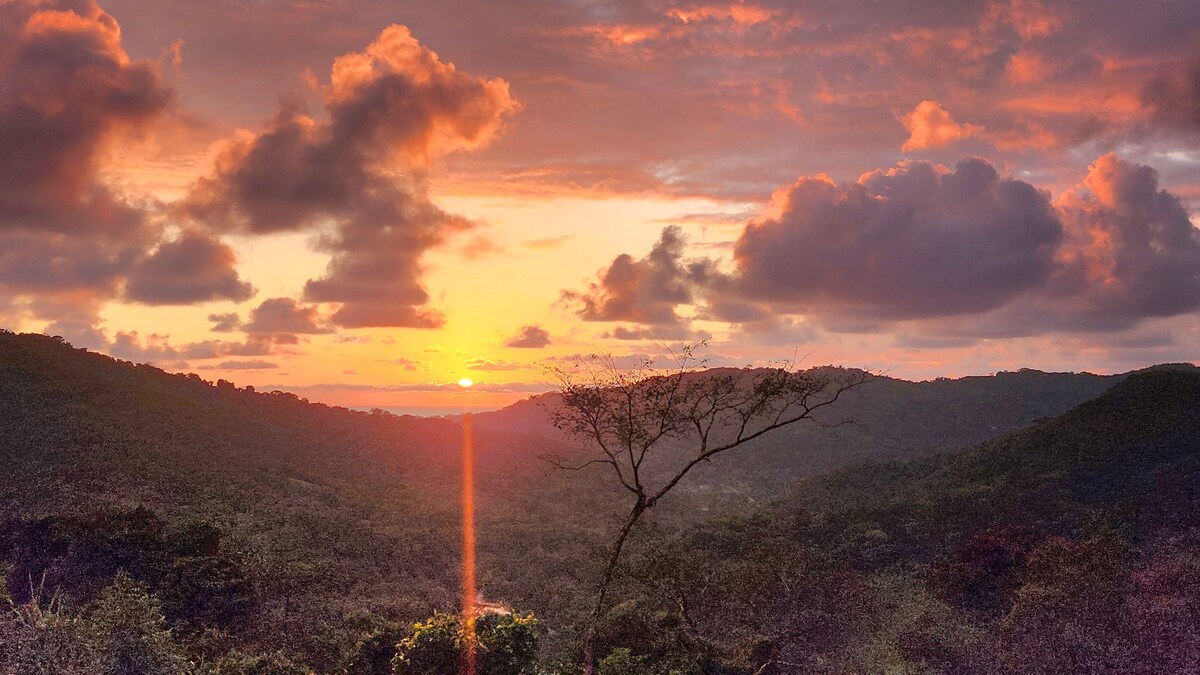 Lovely Cloud Forest Stay with Ocean Views