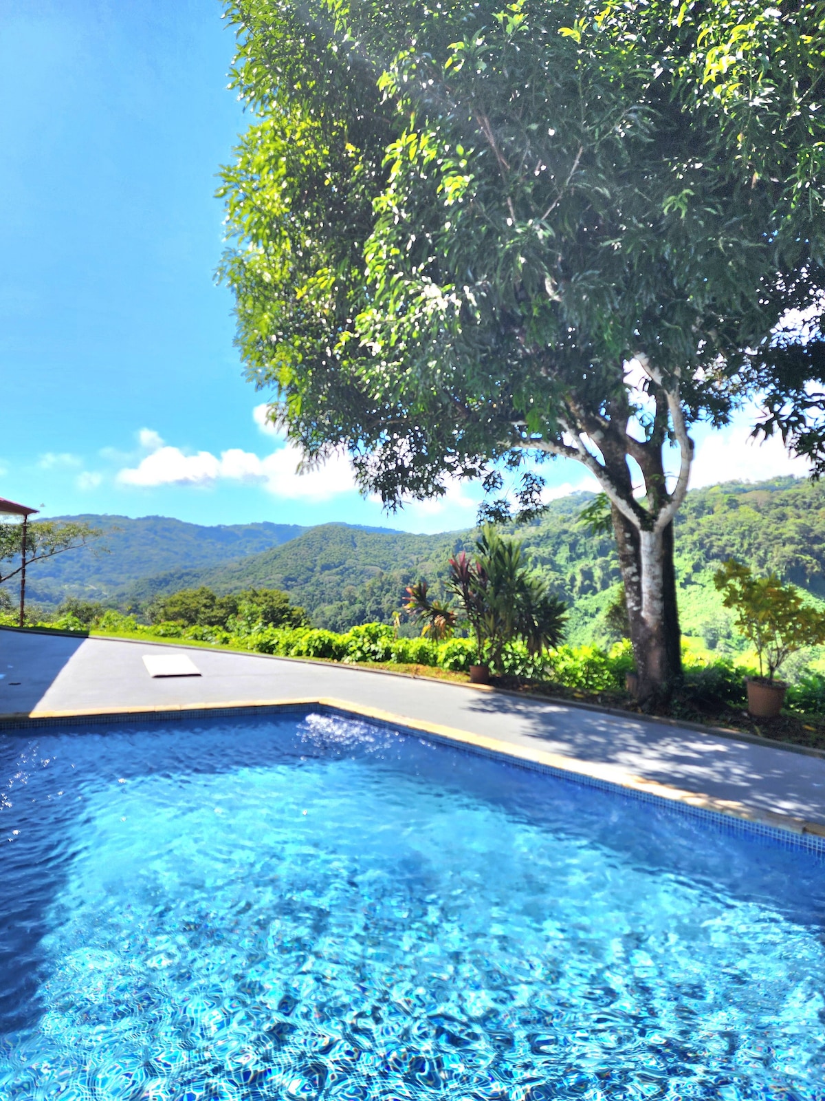 Lovely Cloud Forest Stay with Ocean Views